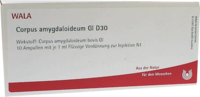 CORPUS AMYGDALOIDEUM GL D 30 Ampullen