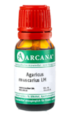 AGARICUS MUSCARIUS LM 5 Dilution