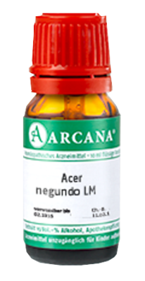 ACER negundo LM 5 Dilution