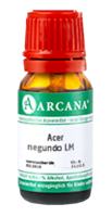 ACER negundo LM 26 Dilution