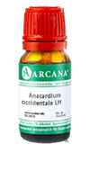 ANACARDIUM OCCIDENTALE LM 36 Dilution