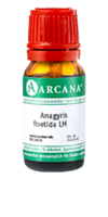 ANAGYRIS foetida LM 4 Dilution