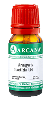 ANAGYRIS foetida LM 25 Dilution