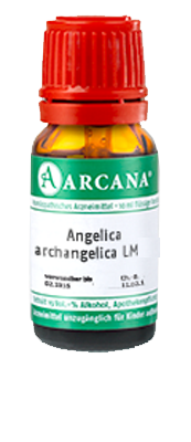 ANGELICA ARCHANGELICA LM 30 Dilution
